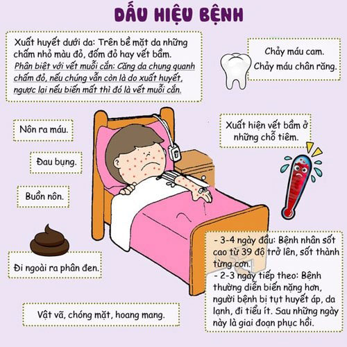 Dấu hiệu bị sốt xuất huyết